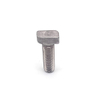 Stainless Steel SS304 316 A2-70 Sandblasting T Bolt