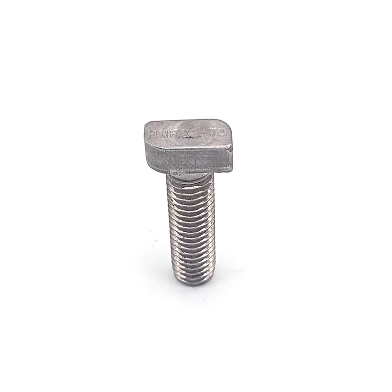 Stainless Steel SS304 316 A2-70 Sandblasting T Bolt