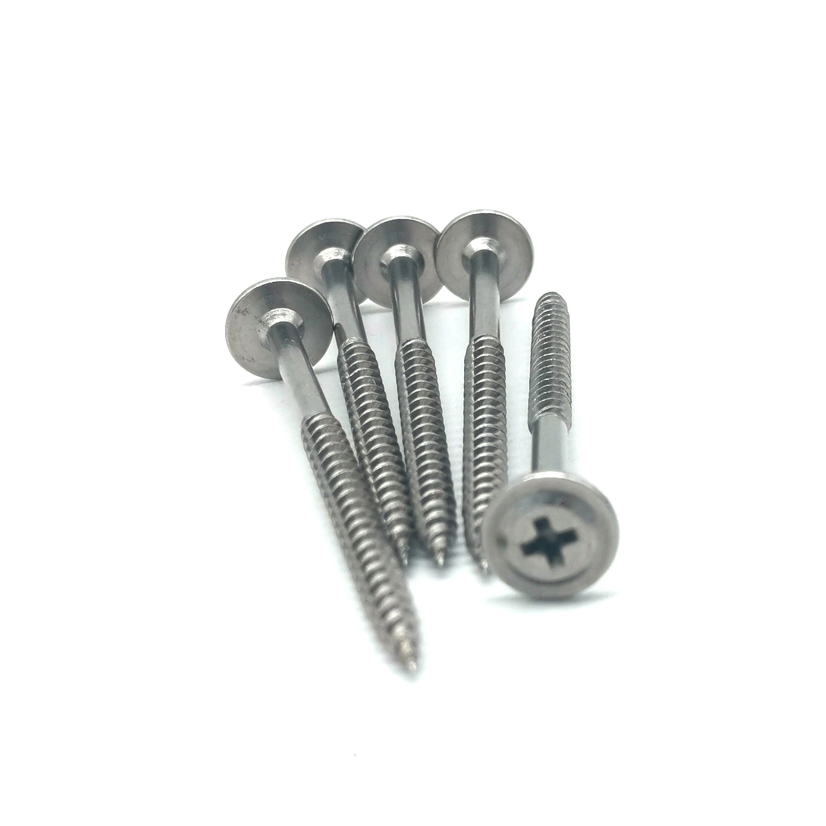 stainless steel coach screws