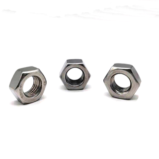 Stainless Steel 304 316 M10 M12 M16 Types of Hex Nuts 