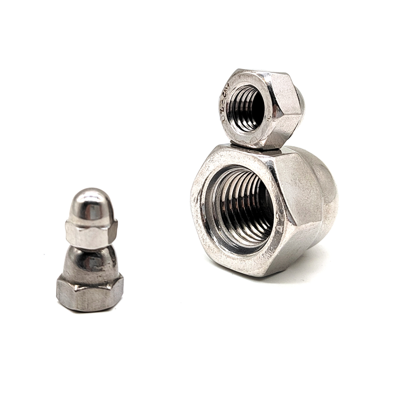 Stainless Steel 304 316 M4 M6 M10 Hex Cap Nuts 