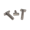 Customized Fastener Stainless Steel 304 316 A2-70 A4-70 T Head Type Bolt
