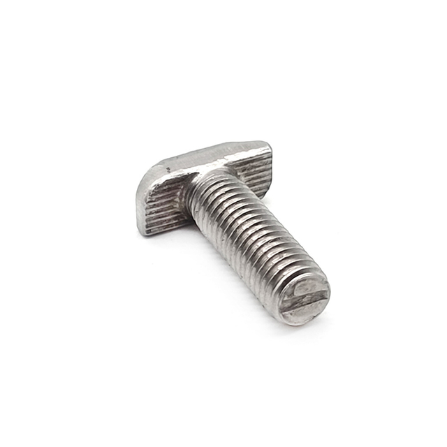 Stainless Steel Customized T Shape SS304 SS316 A2-70 M6 M8 Hammer Head Bolt