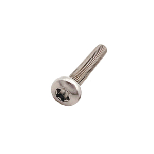 Stainless Steel 304 316 GB/T 2672 Pan Head Torx Machine Screws 