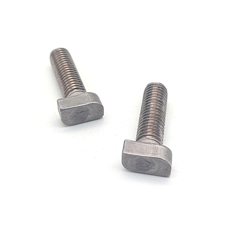 Stainless Steel SS304 316 A2-70 Sandblasting T Bolt