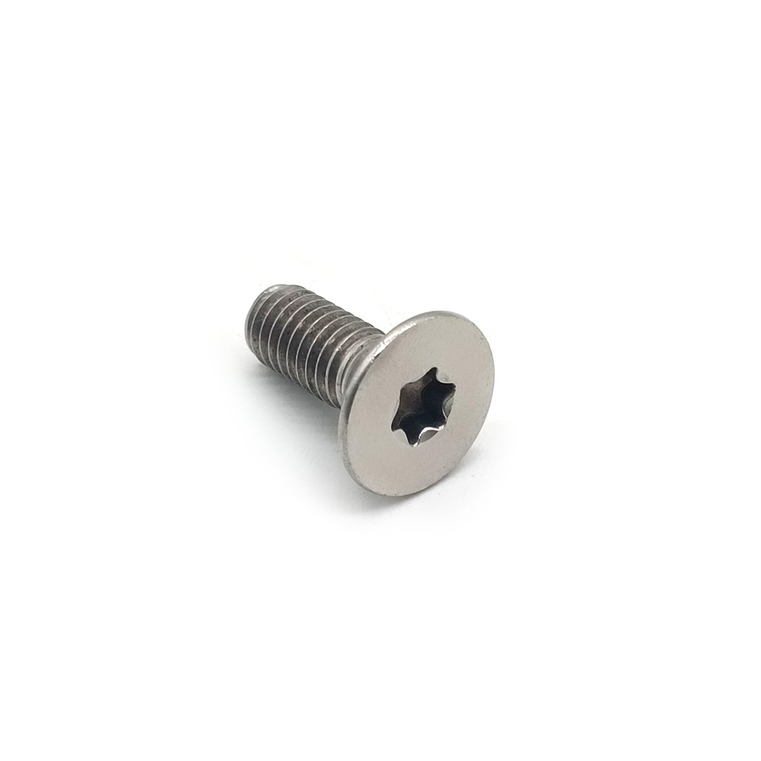 GB2673 Torx Head Countersunk Stainless Steel Machine Screw
