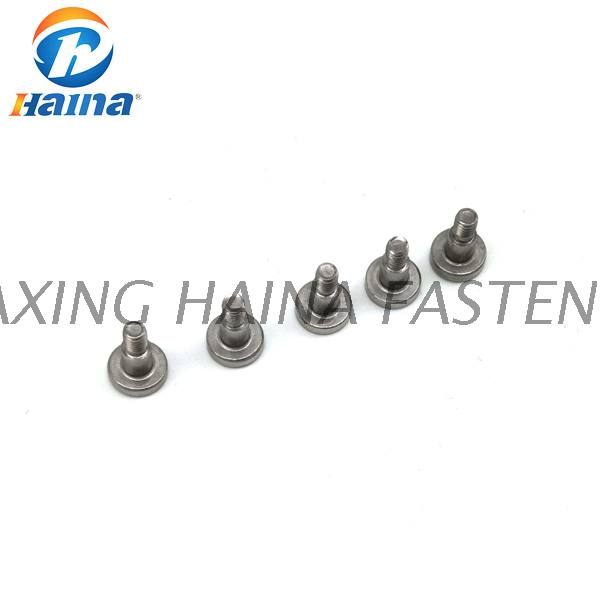 Stainless Steel SS304 SS316 316L Shoulder Screws