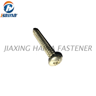  DIN 7981 Stainless Steel Pan Head Phillips Self Tapping Screw