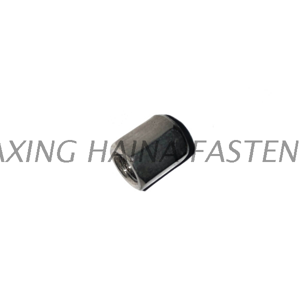 Stainless Steel SS316 316L Hexagon Coupling Nut