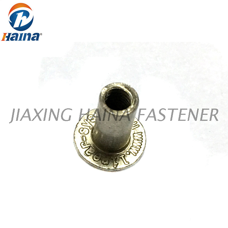 Stainless Steel Flat Head Semi-Tubular Rivets for Furniture
