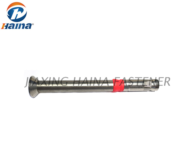 Customized Stainless Steel 304 316 316 L Heavy Duty Countersunk Anchor Bolt