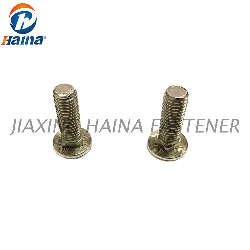 DIN603 Stainless steel Full Thread Carriage Bolt