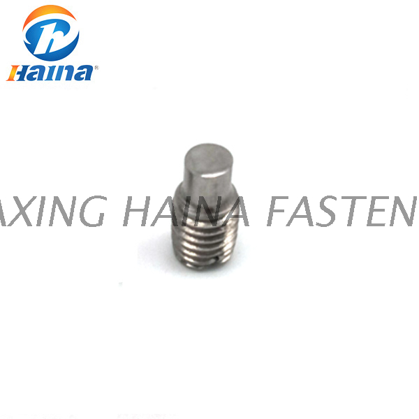 DIN 417 Carbon Steel Slotted Set Screws With Long Dog Point