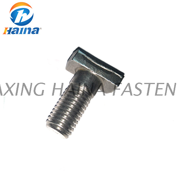 DIN261 Stainless Steel SS304 316 T Head Bolt