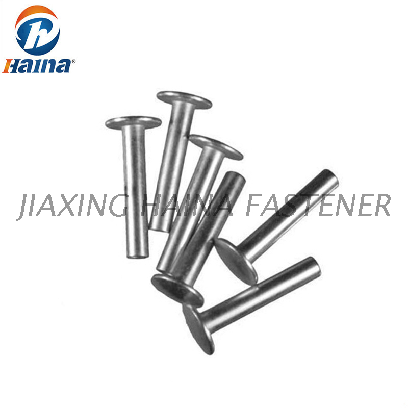 Stainless Steel Flat Head Semi-Tubular Rivets for Furniture