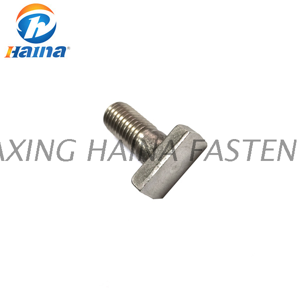 DIN261 Stainless Steel SS304 316 T Head Bolt