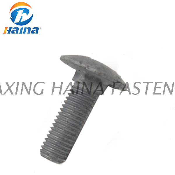 DIN603 Hot DIP Galvanized Gr8.8 Carriage Bolt
