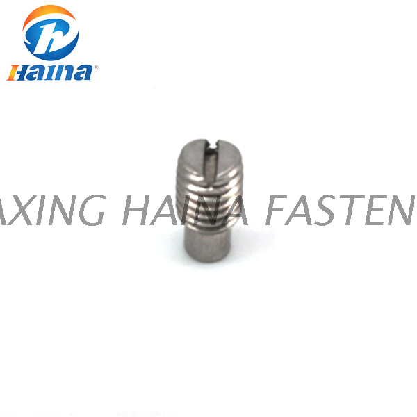 DIN 417 Carbon Steel Slotted Set Screws With Long Dog Point