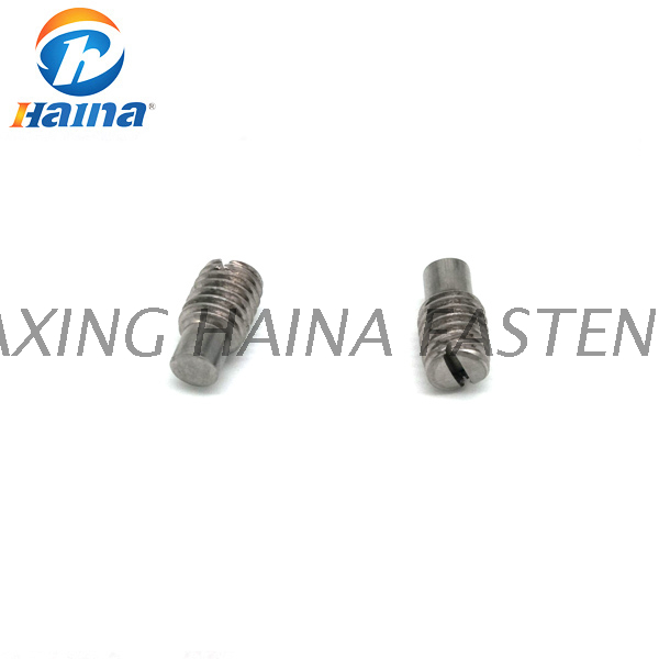 DIN 417 Carbon Steel Slotted Set Screws With Long Dog Point